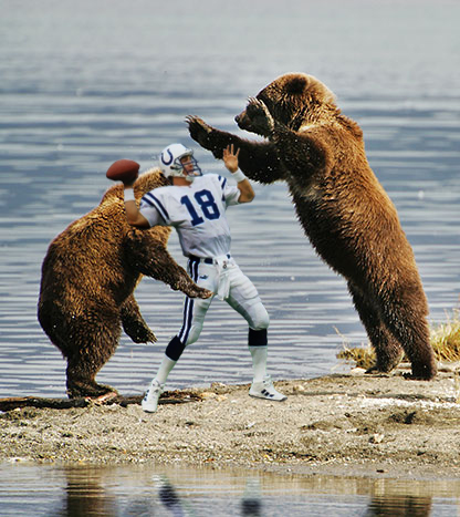 bears-attacking-peyton-manning.jpg
